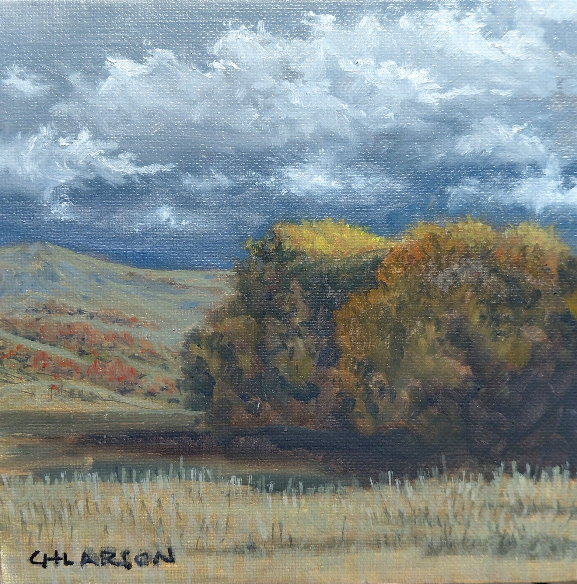 Fall Light