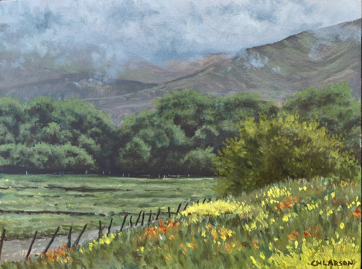 May Flowers