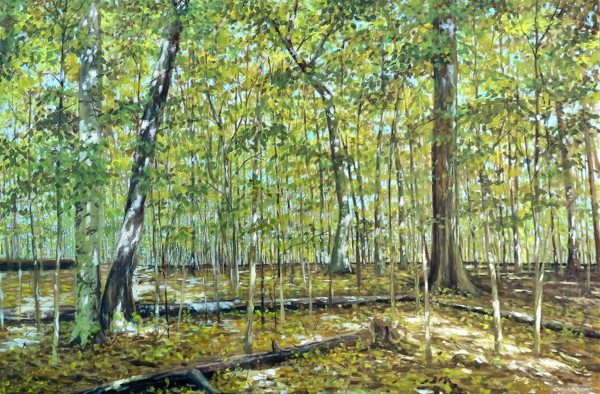 Sacred Grove