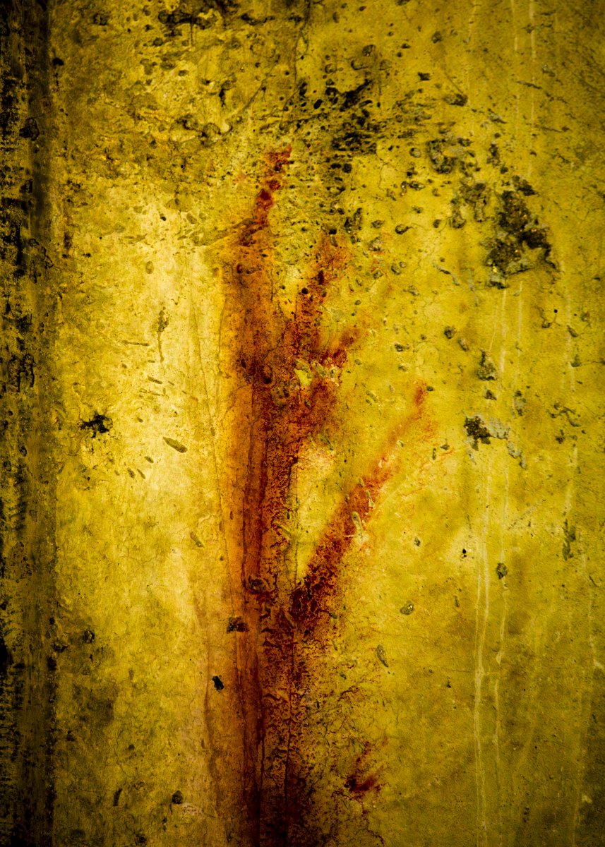Traces of a Nameless Hunger