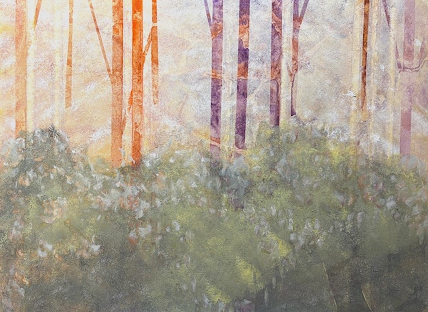 Nature's Echo