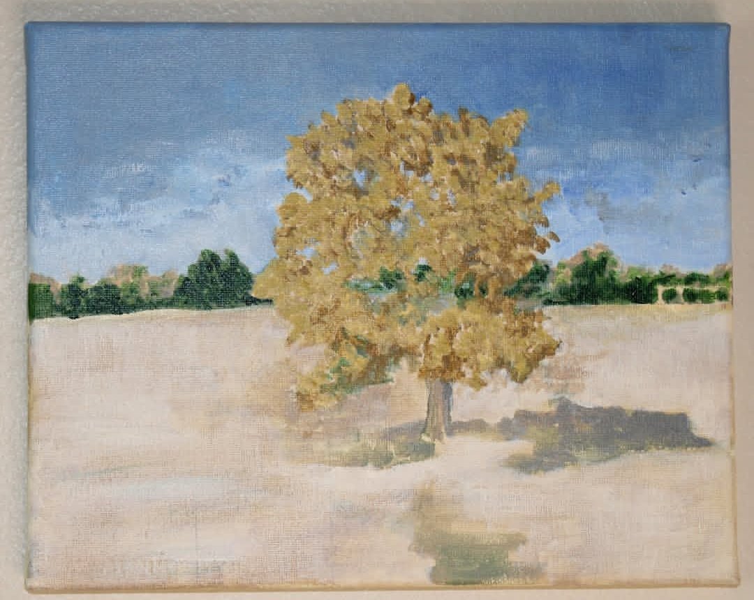 South pasture tree