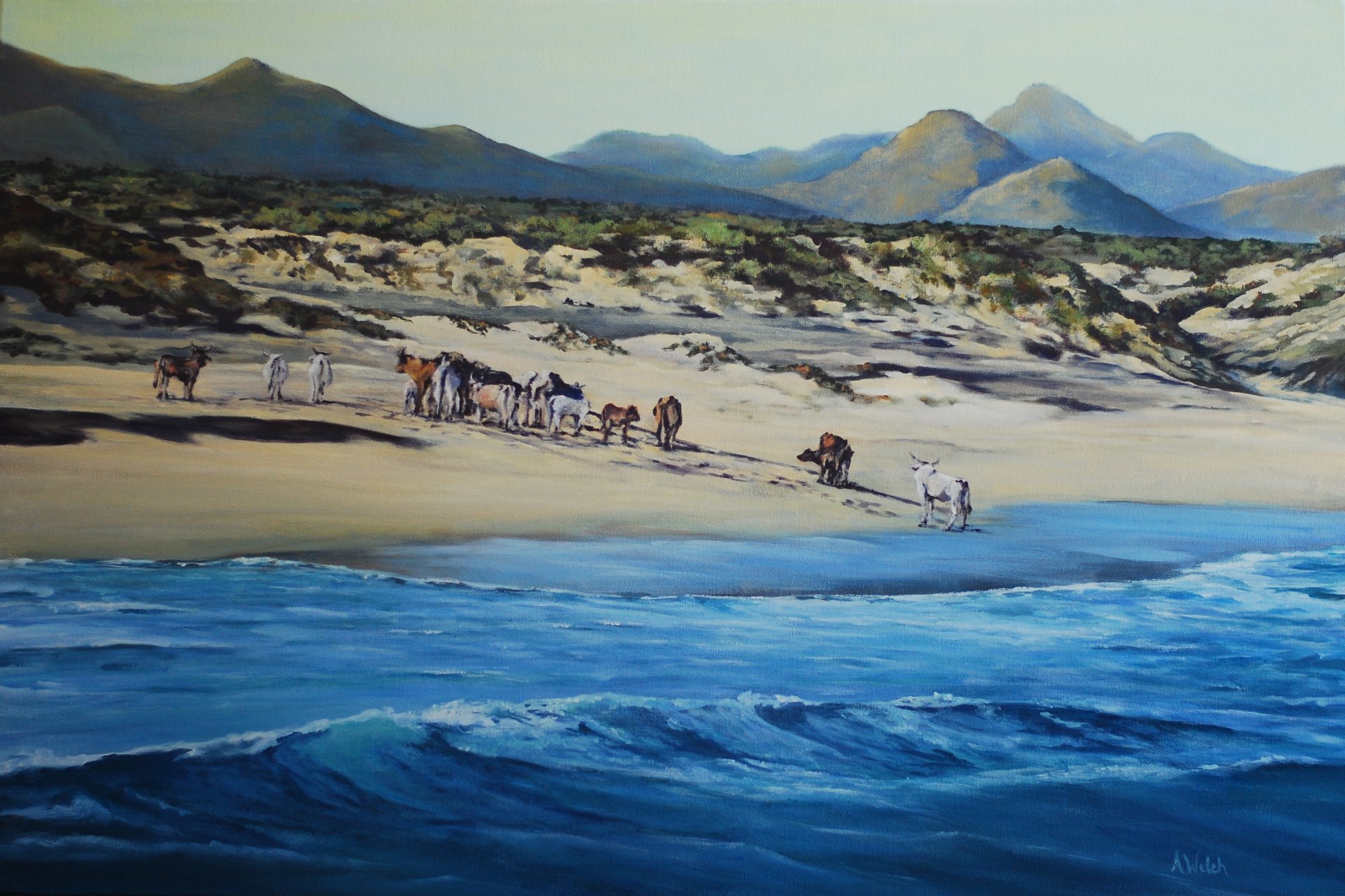 Vacas de la Playa
