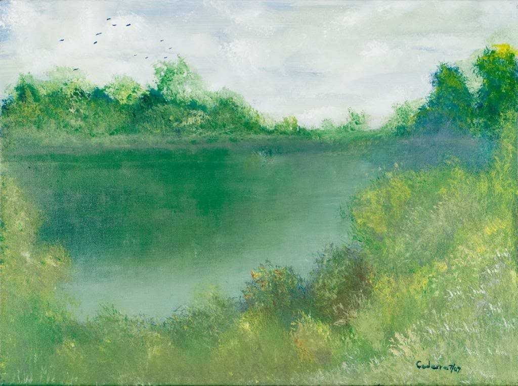 Misty Morning