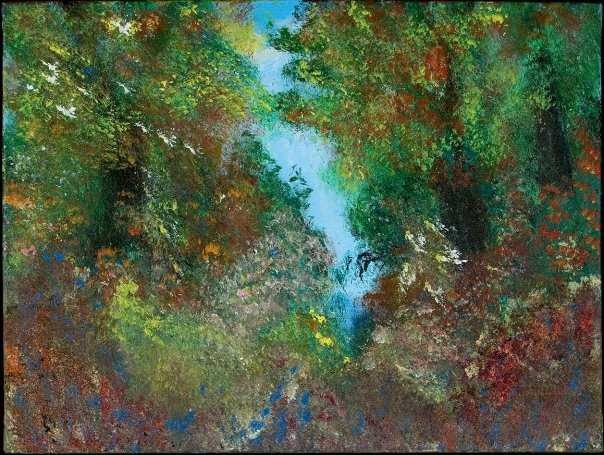 The Forest's Quiet Window