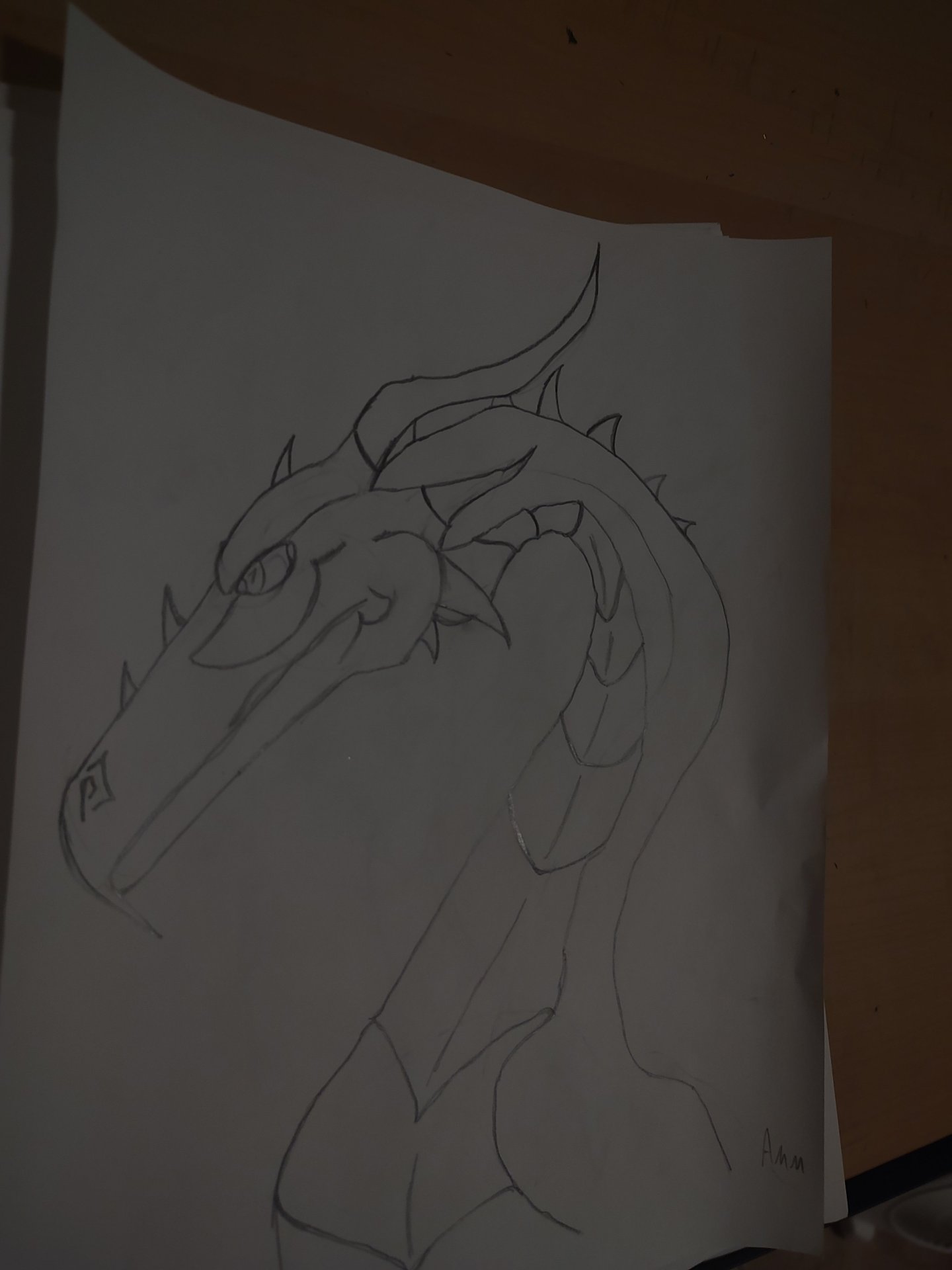 Dragon side profile