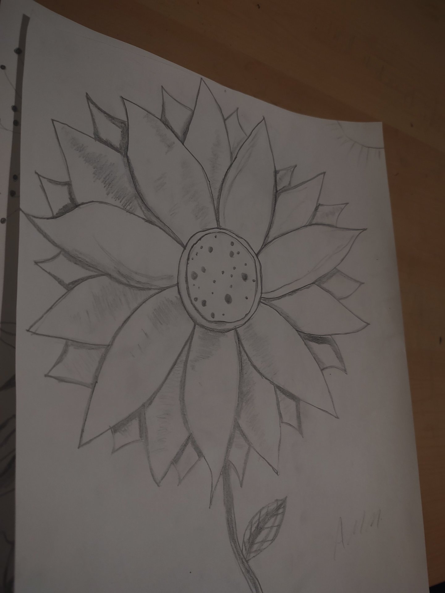 Sunflower