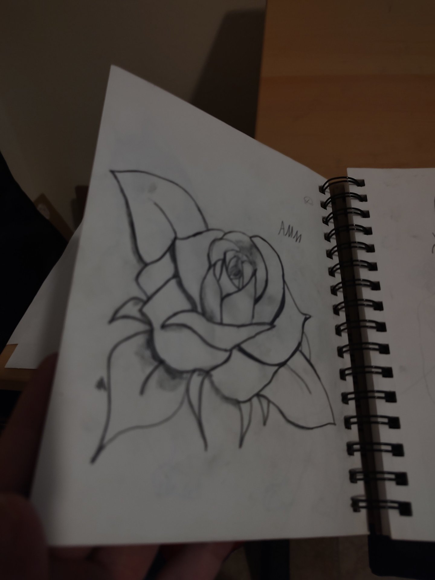Rose sketchbook