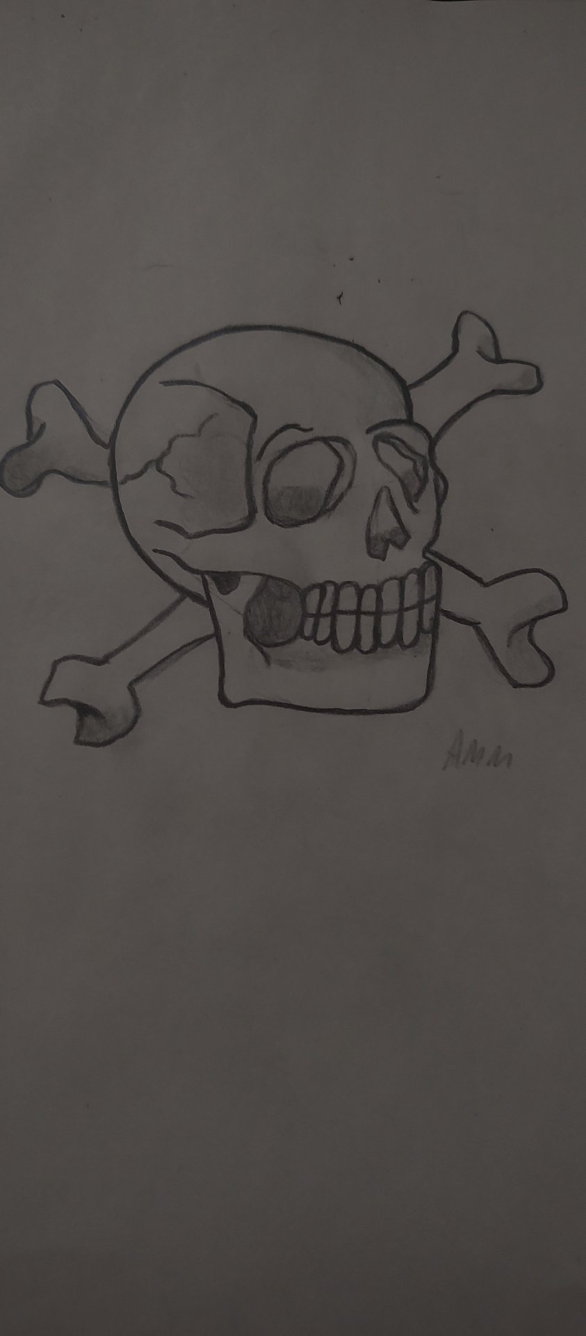 Skull