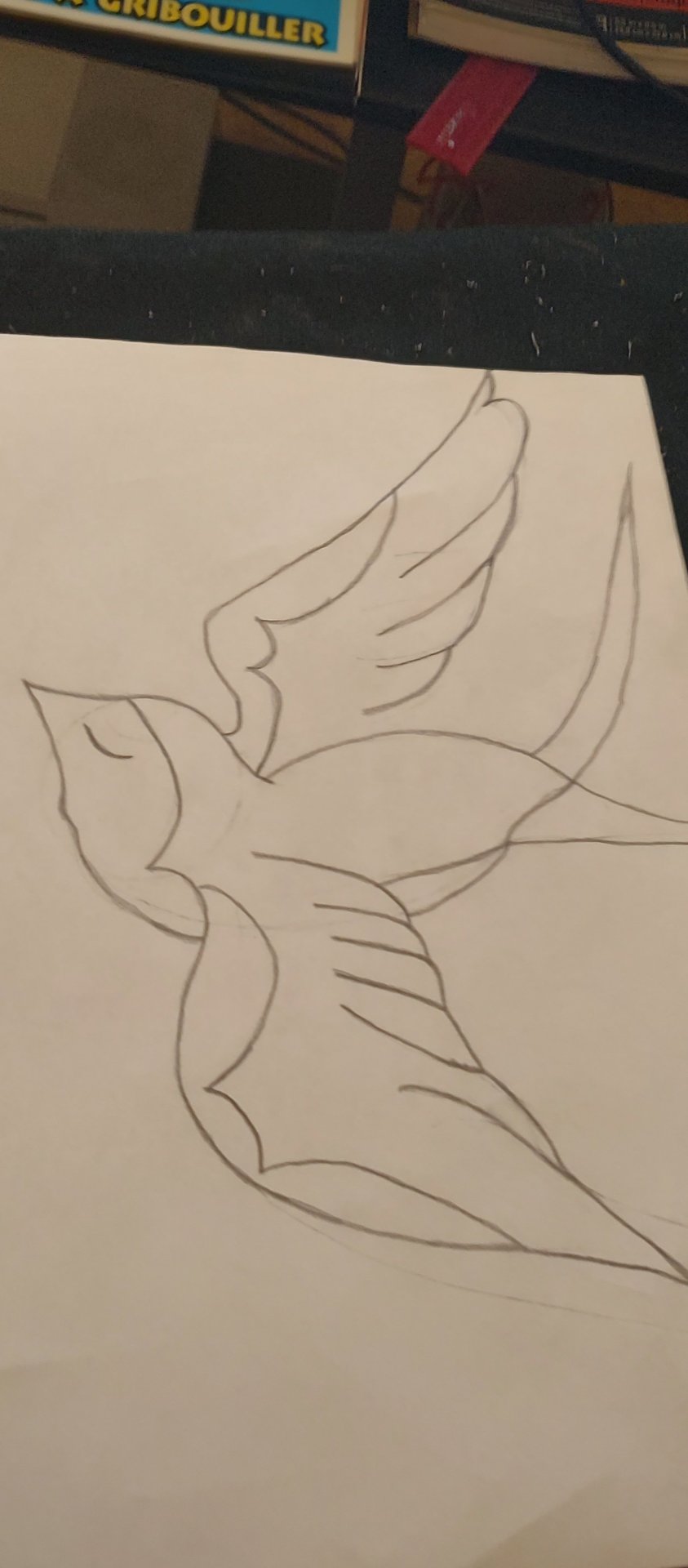 Bird