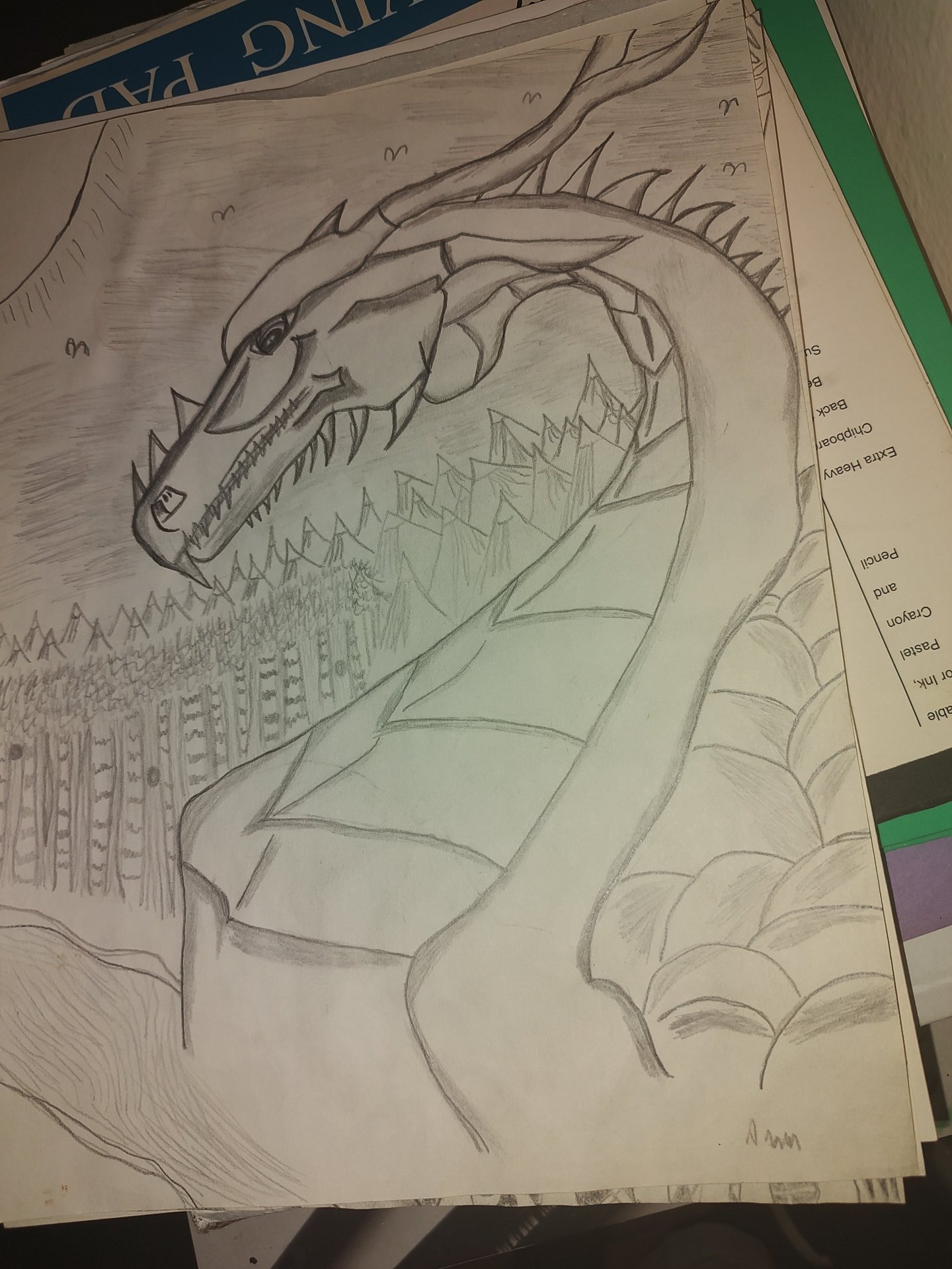 Dragon side profile