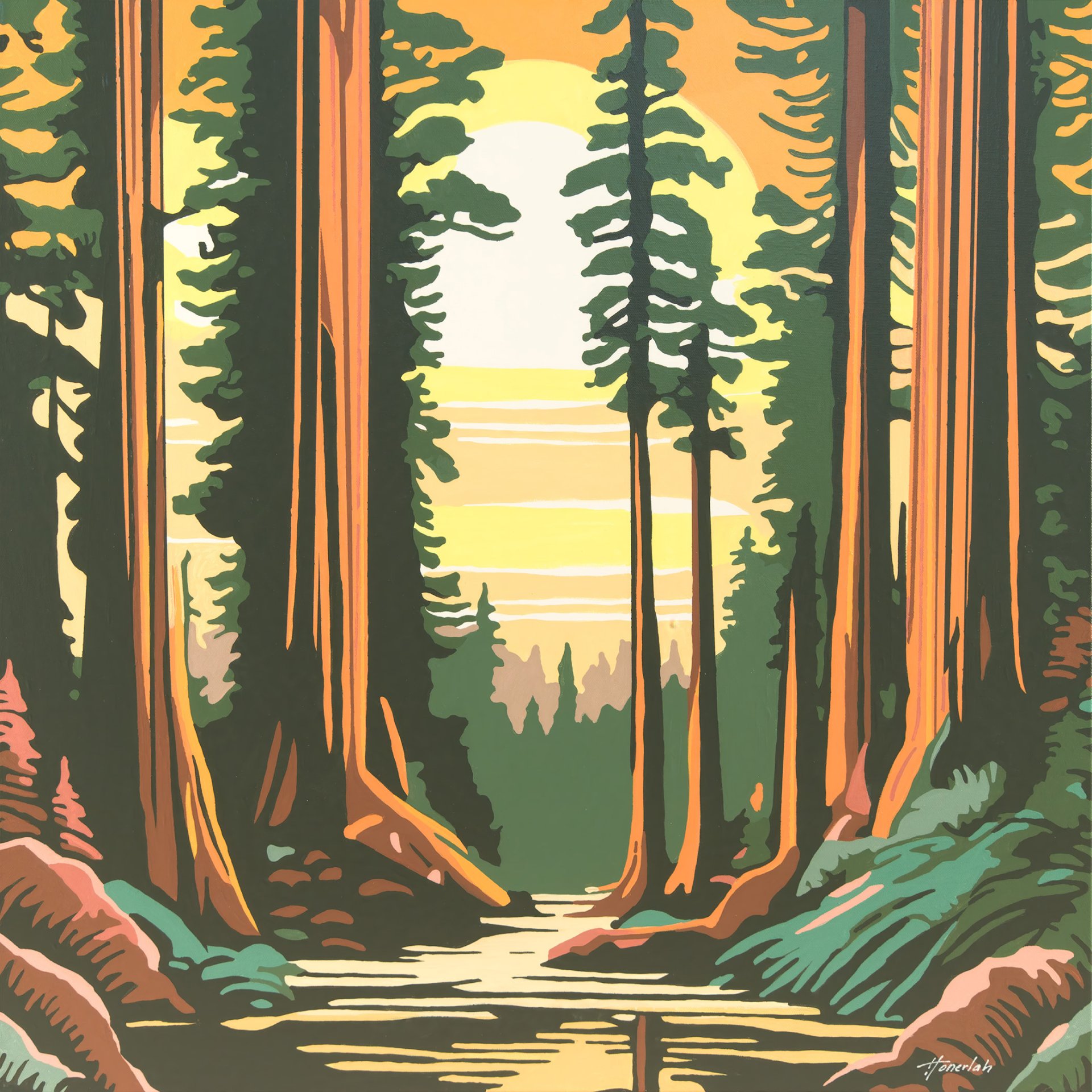 Redwood Glow