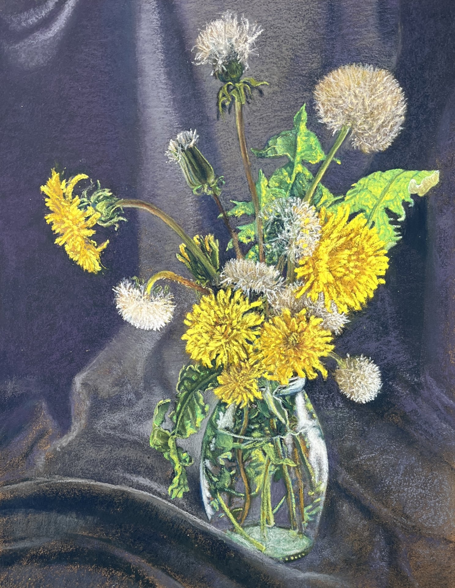 Dandelions