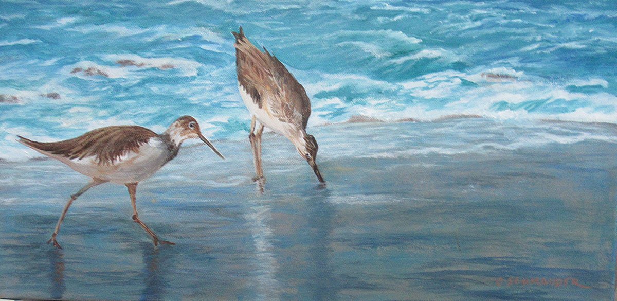 Greenshank Beachcombers