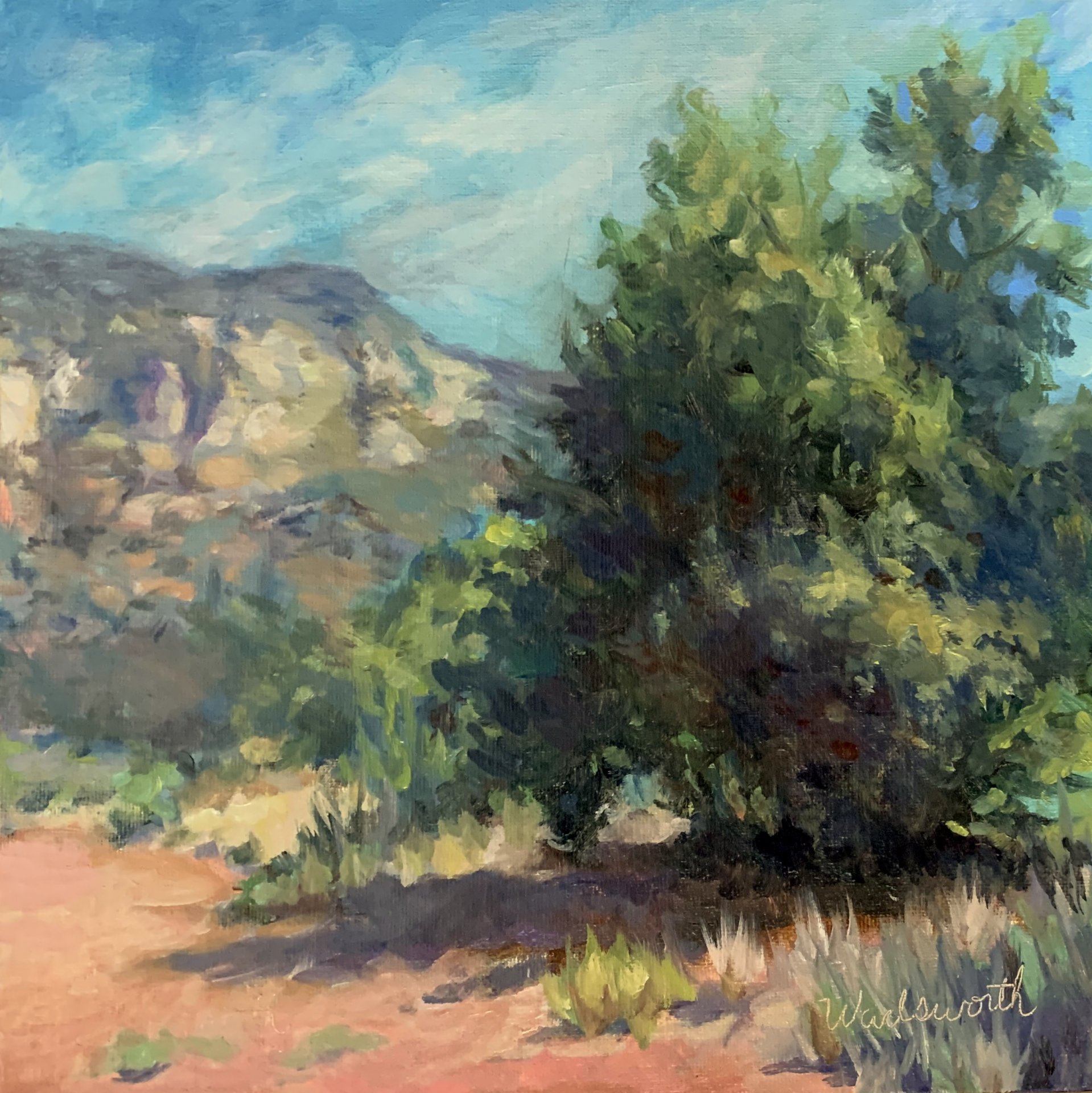 "Sedona Trailhead"