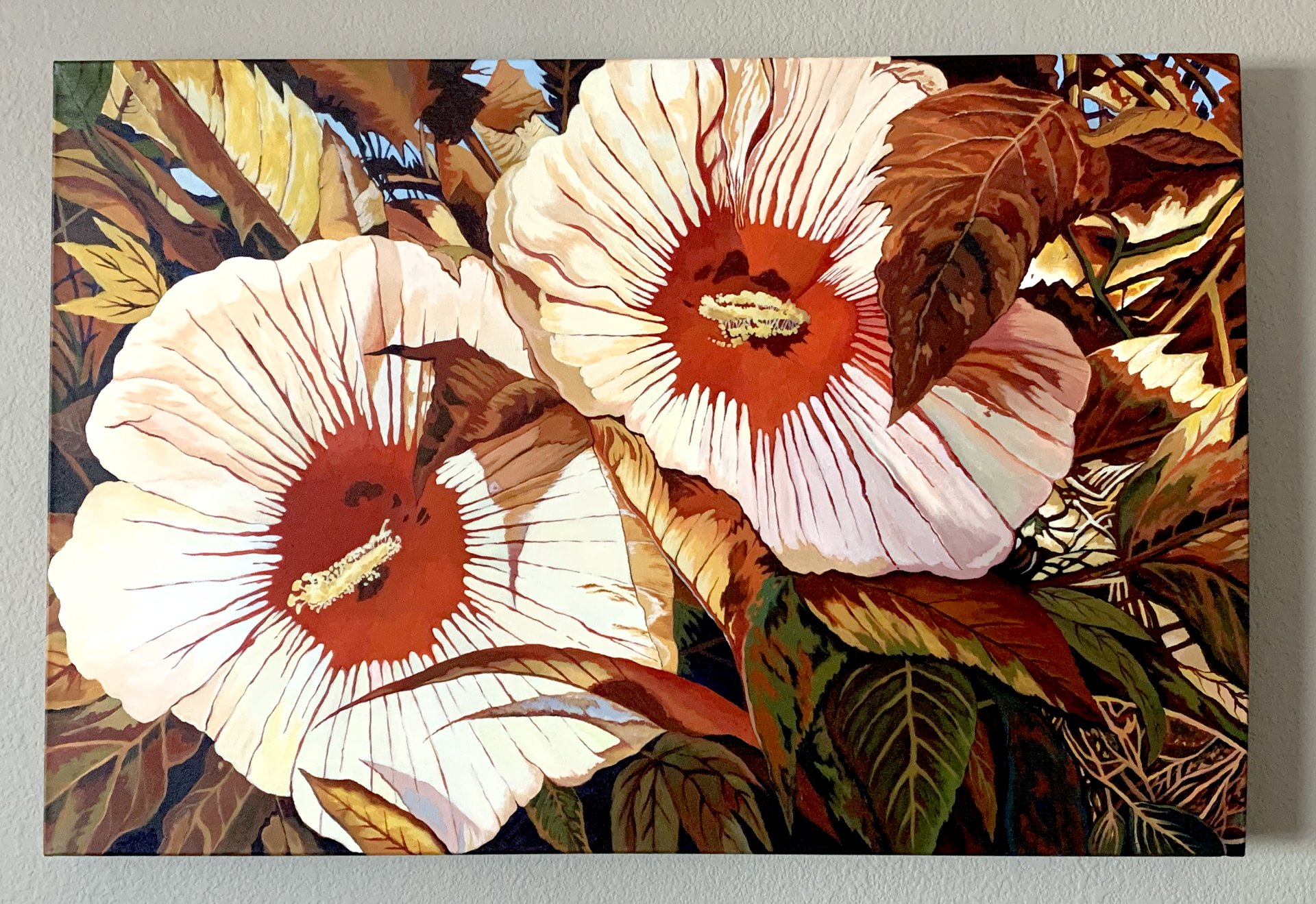 Hibiscus Summer
