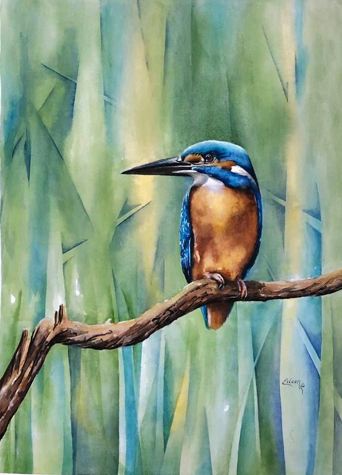 Kingfisher on Alert