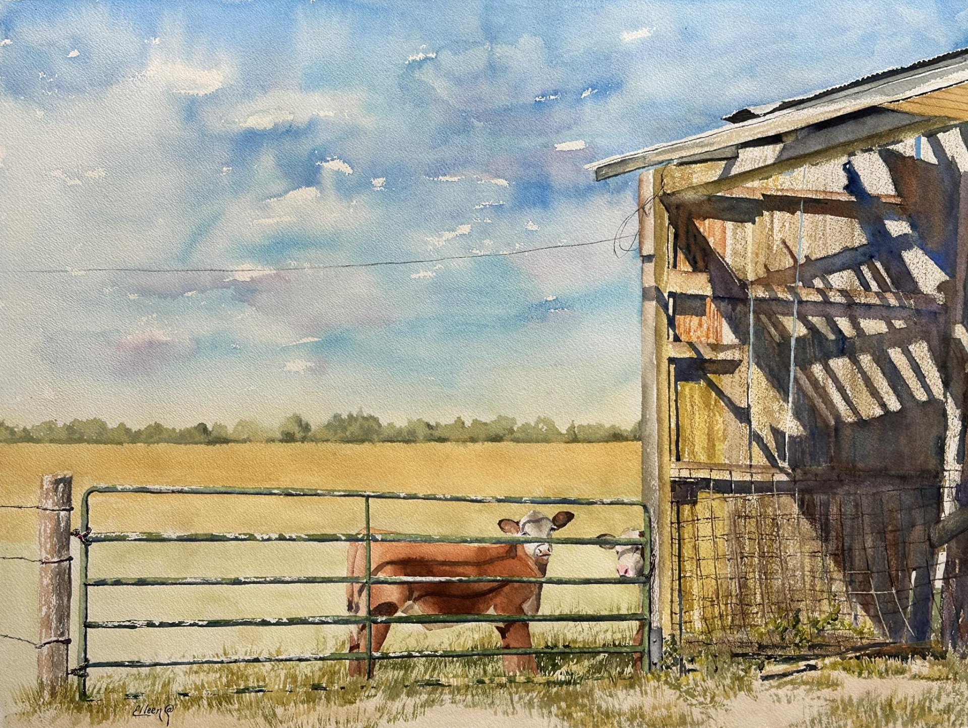 Sunny Day at the Farm