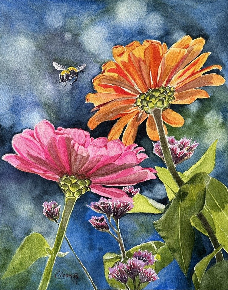 Buzzing around Sunlit Xenias
