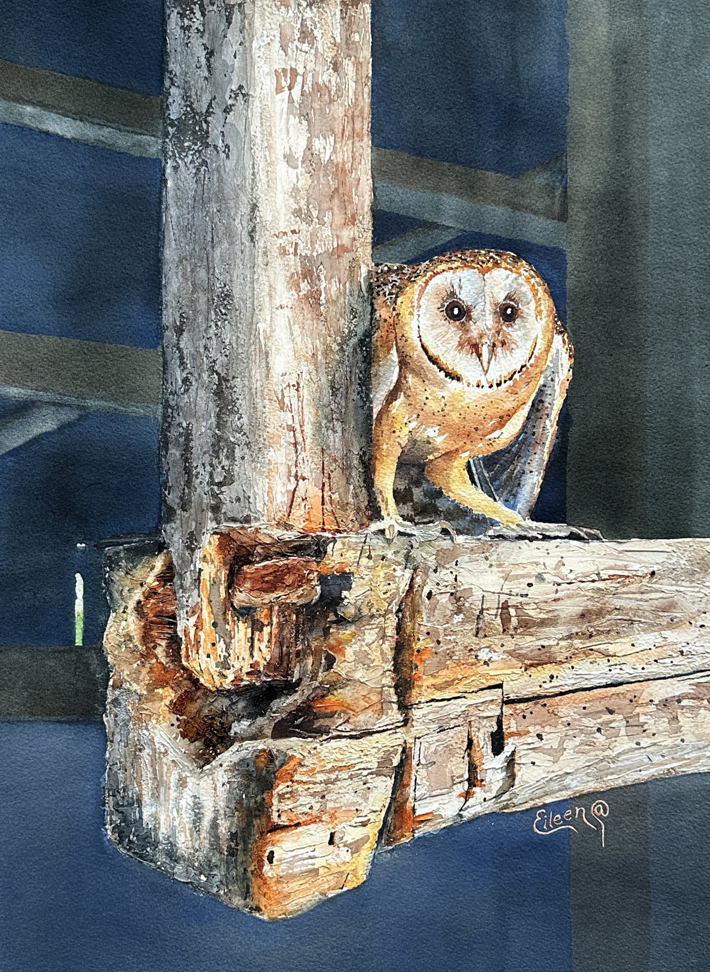 Baby BarnOwl Boxed In But Breaking Out.