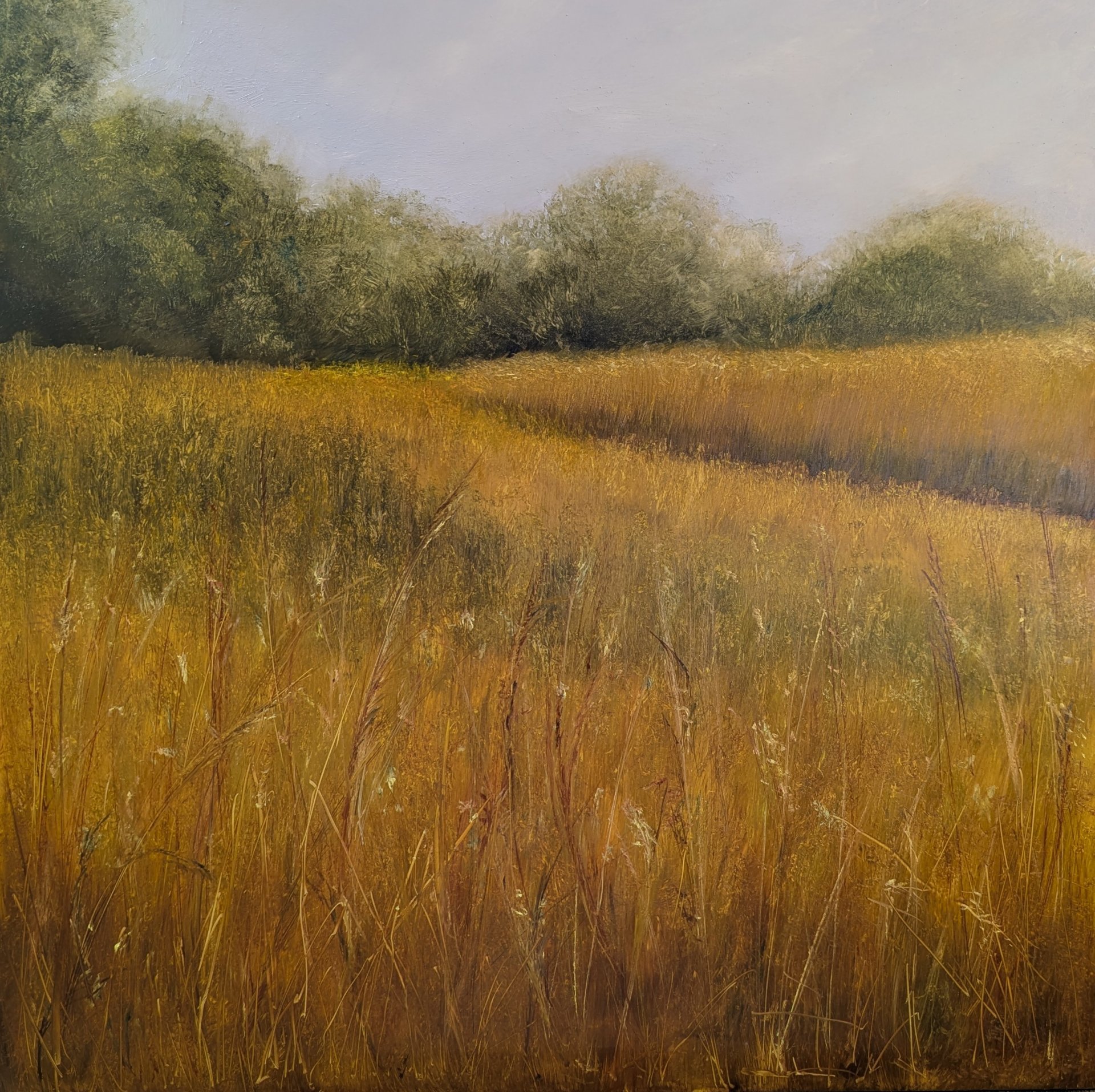 Late Summer Grasses