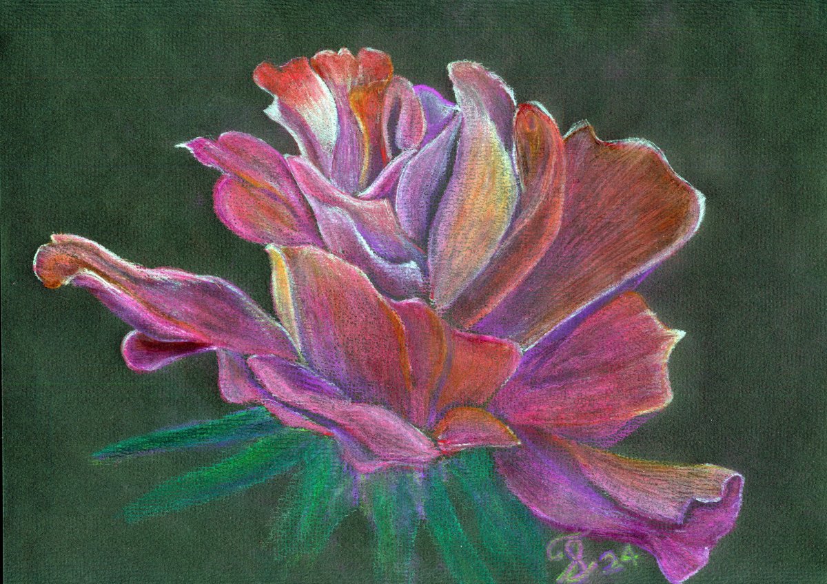 Petal Radiance