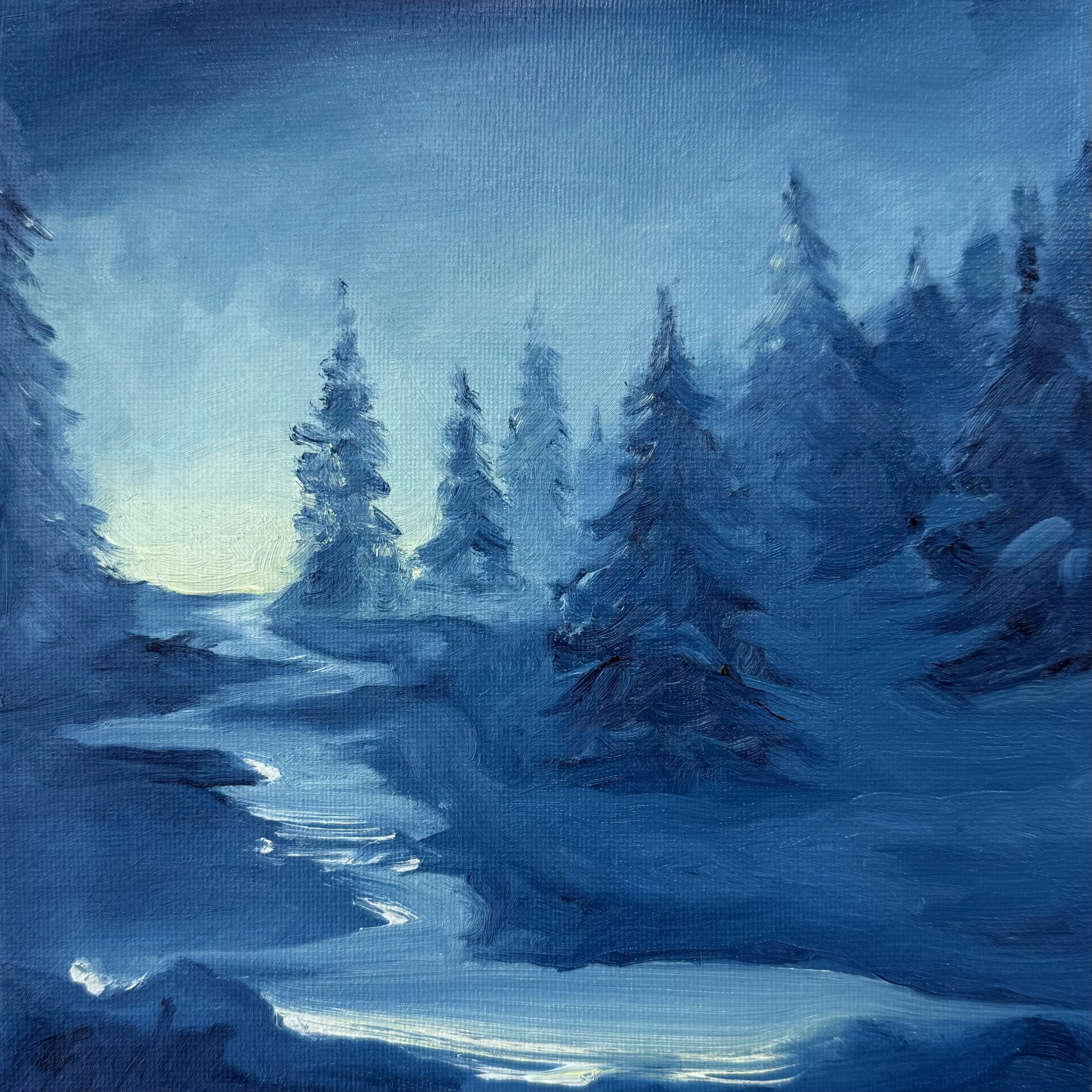 Winter Nocturne 2