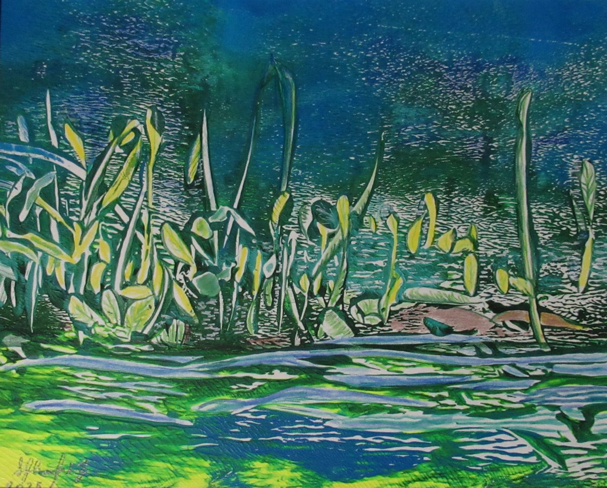 Bright Pond