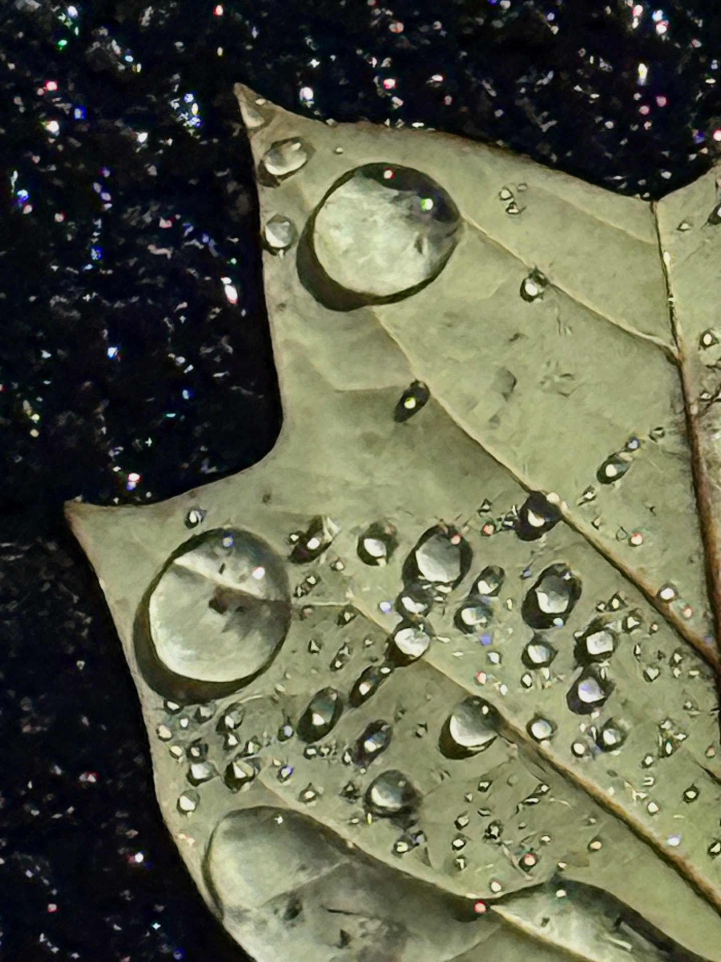 Quarter green leaf drops