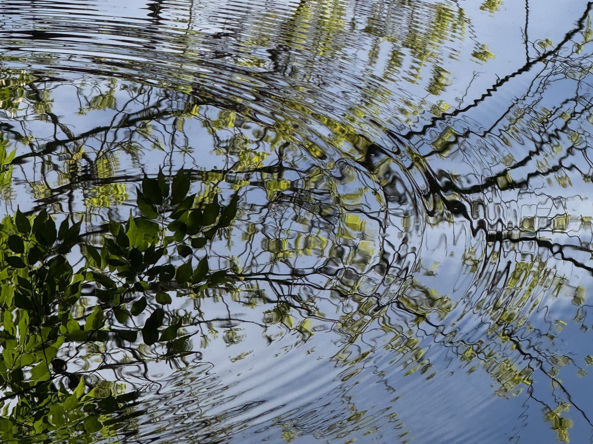 Ripples and reflections