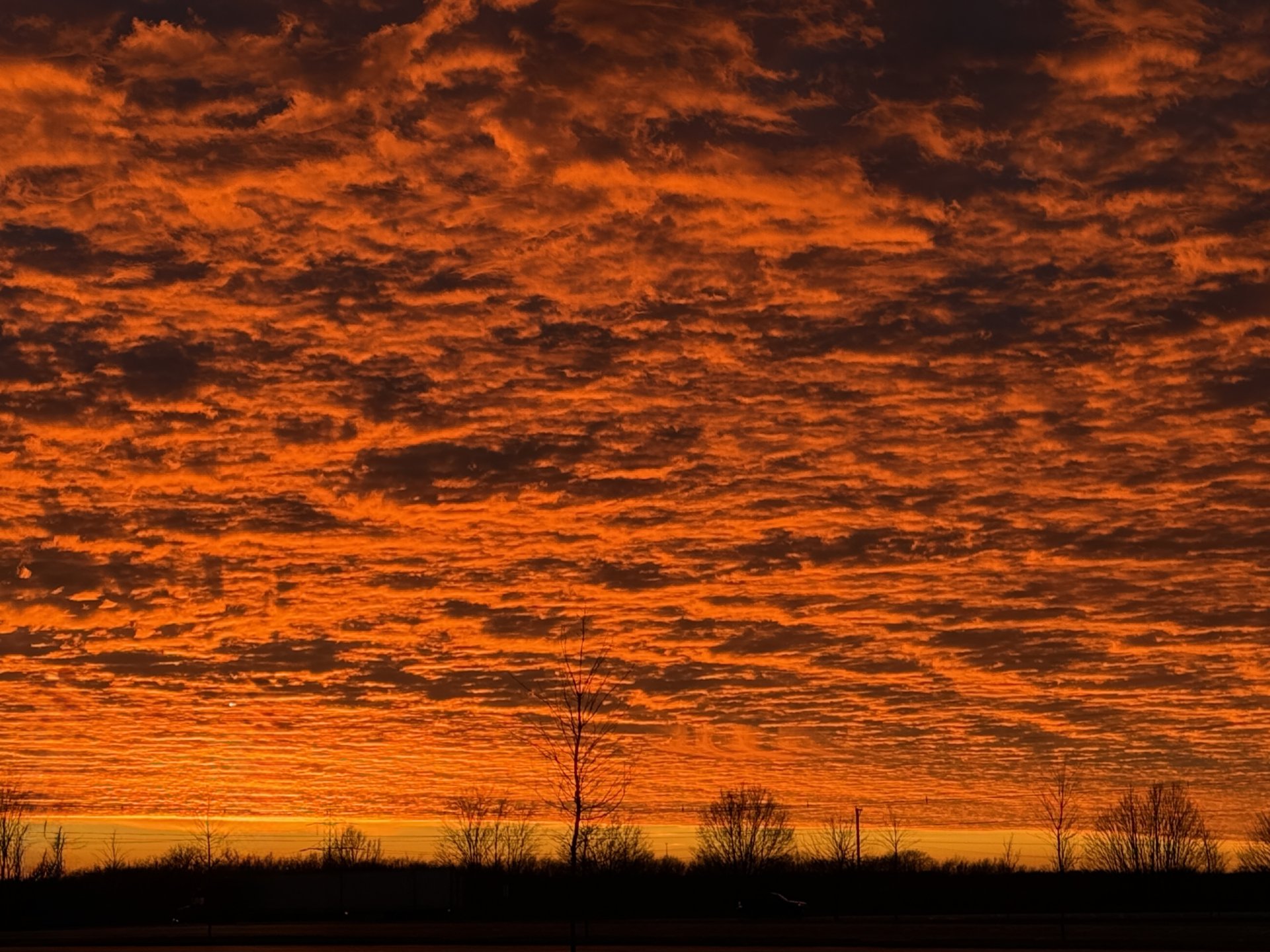 Sky On Fire
