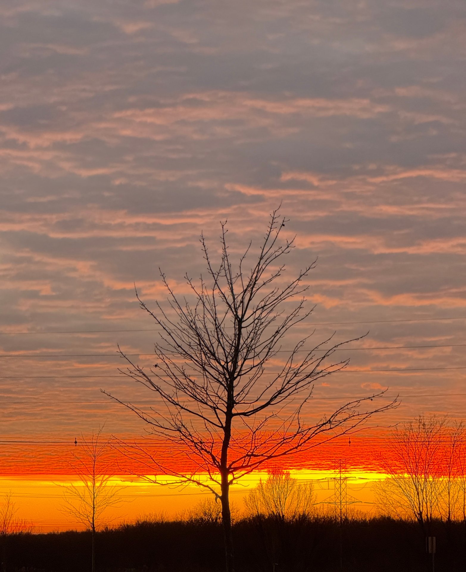 Winter Sunset Stripes