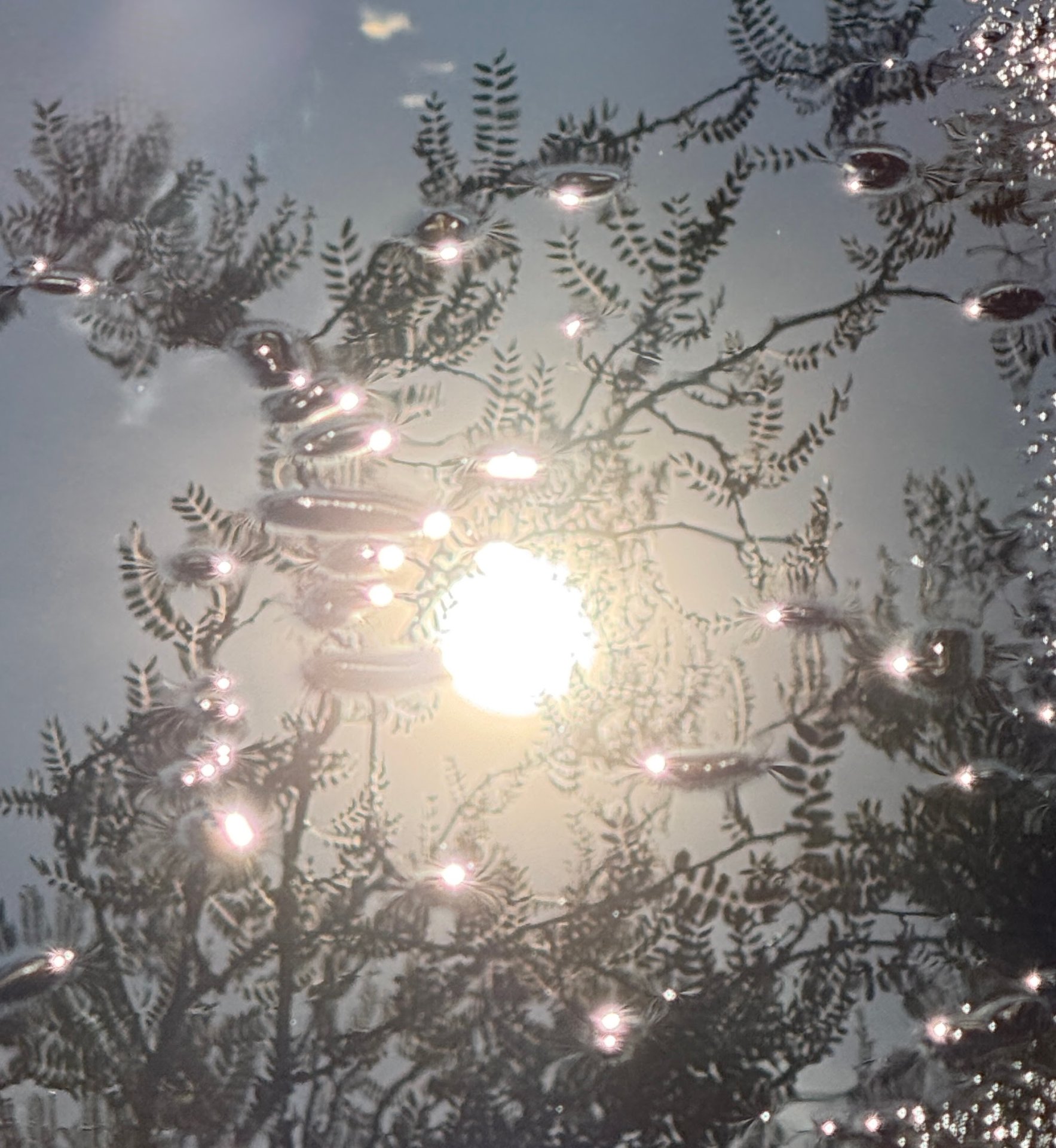 Light Up The Worlds