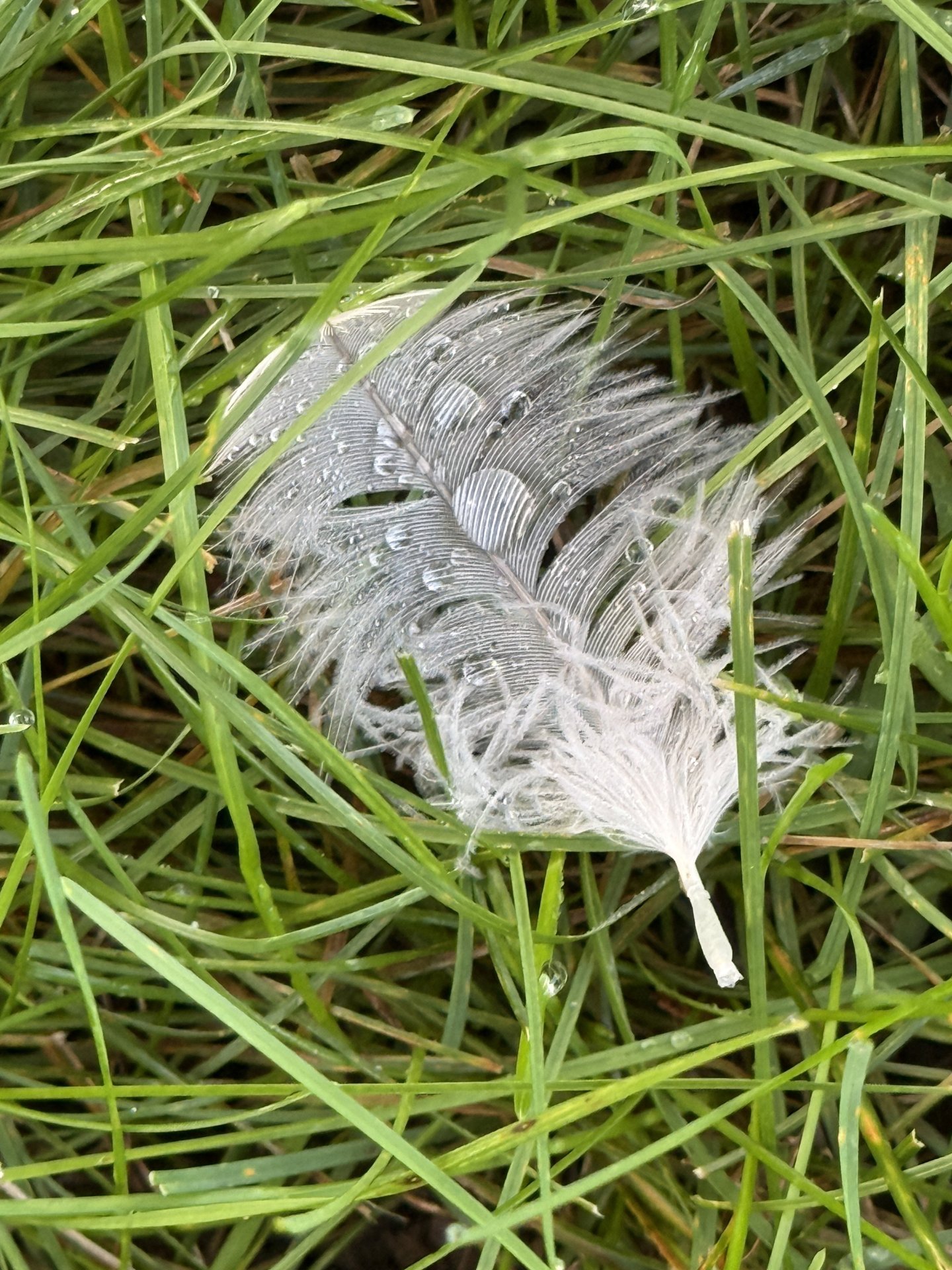 Soft Strength