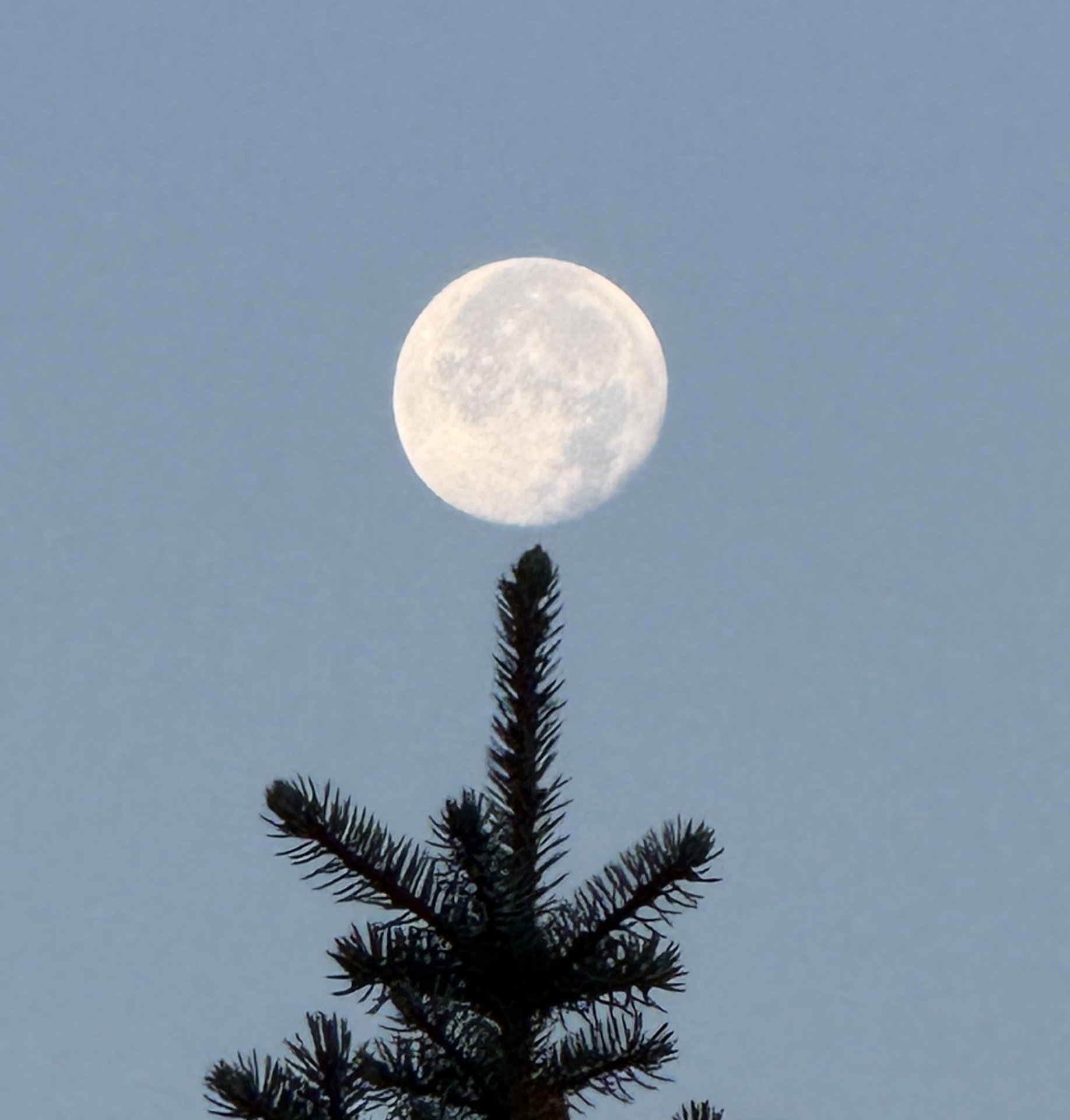 Moon in the Balance
