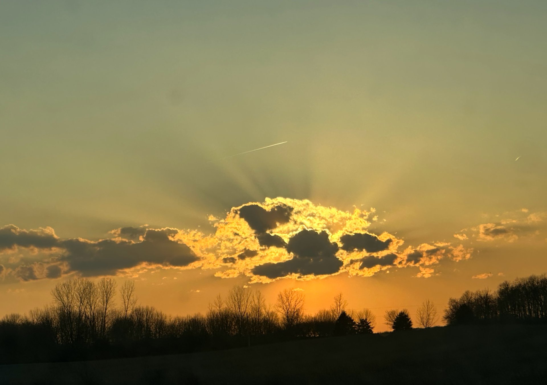 Above the Farm