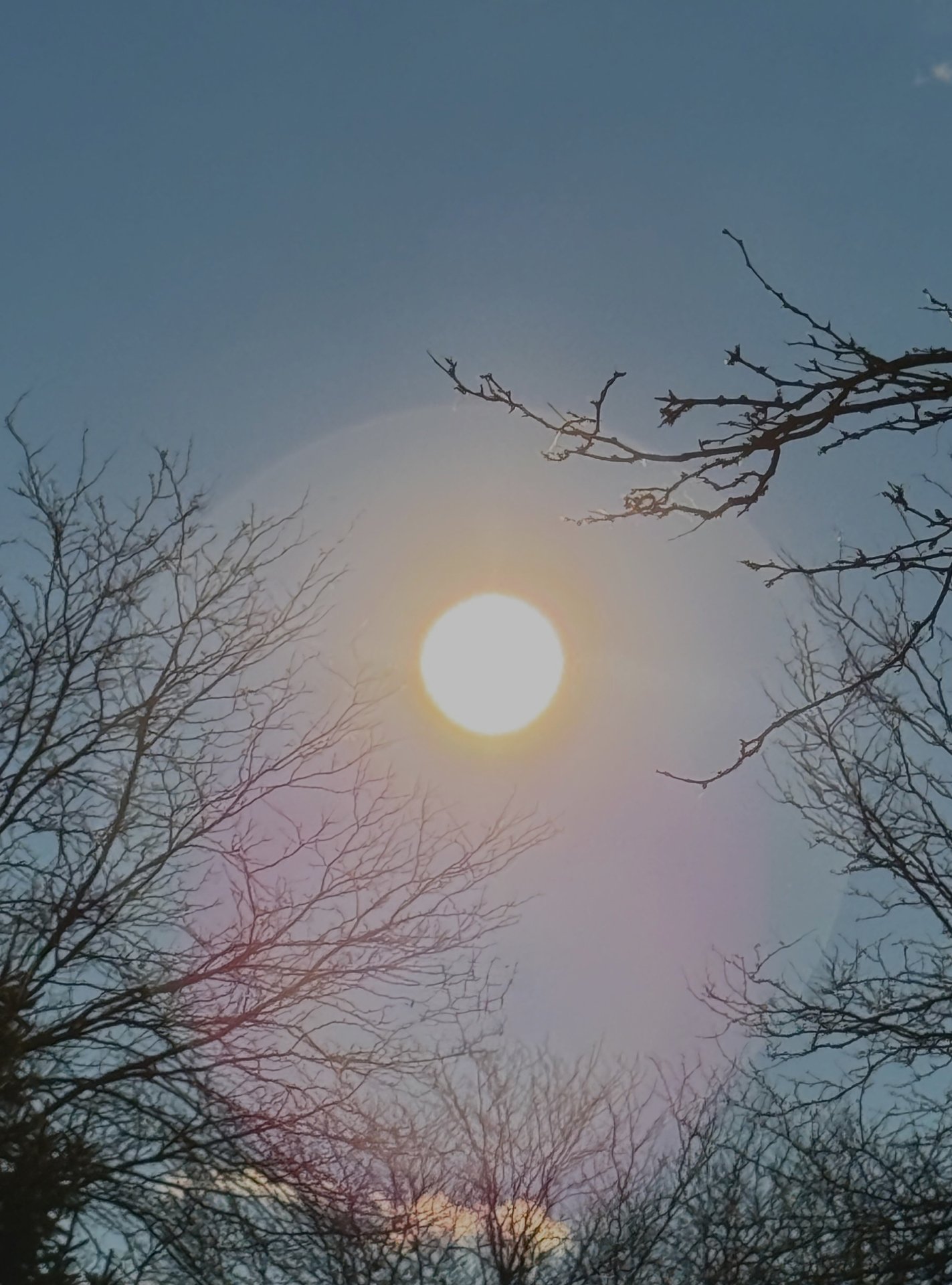 Sun Chanting Om