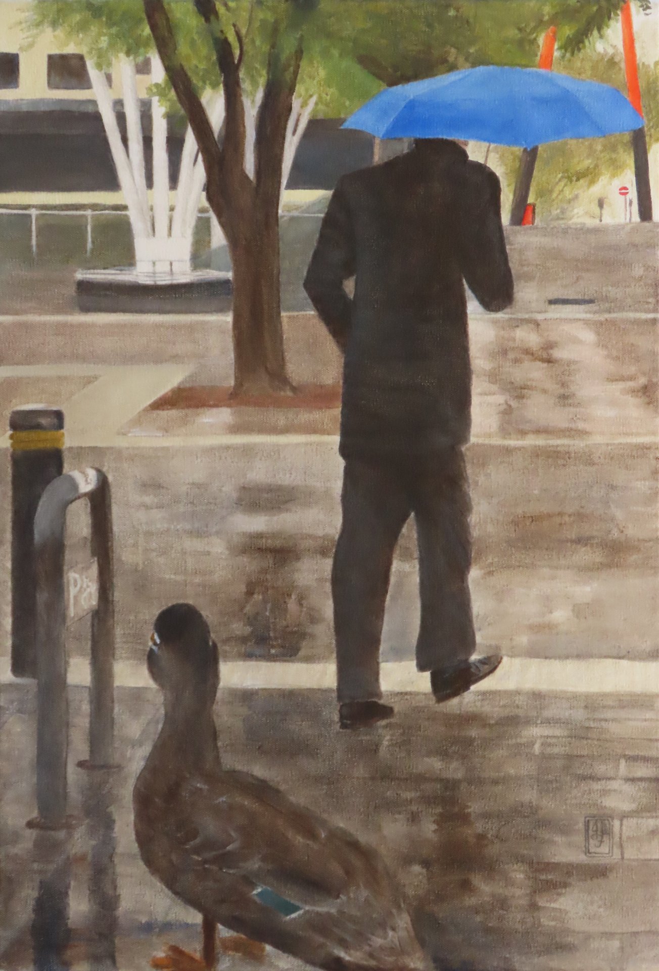 Duck in Subiaco Square