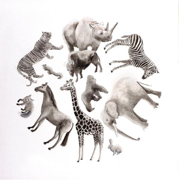 Wild Animals