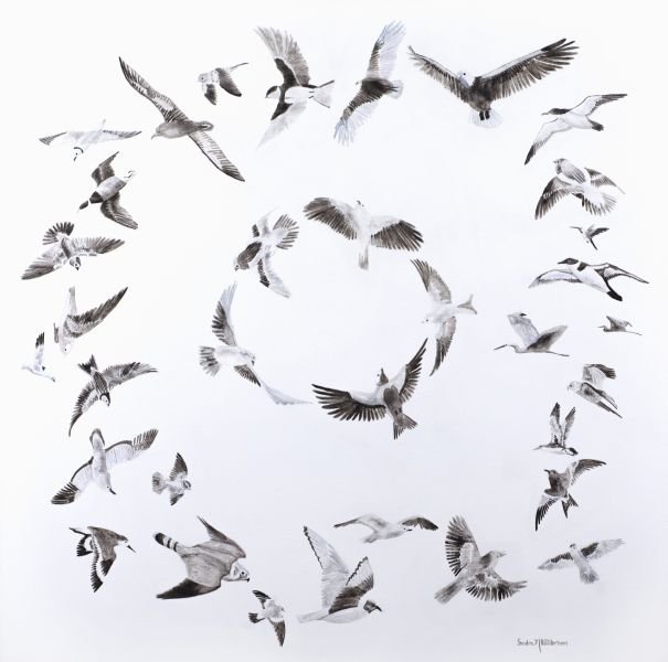 Migration:  In Search of a New Home