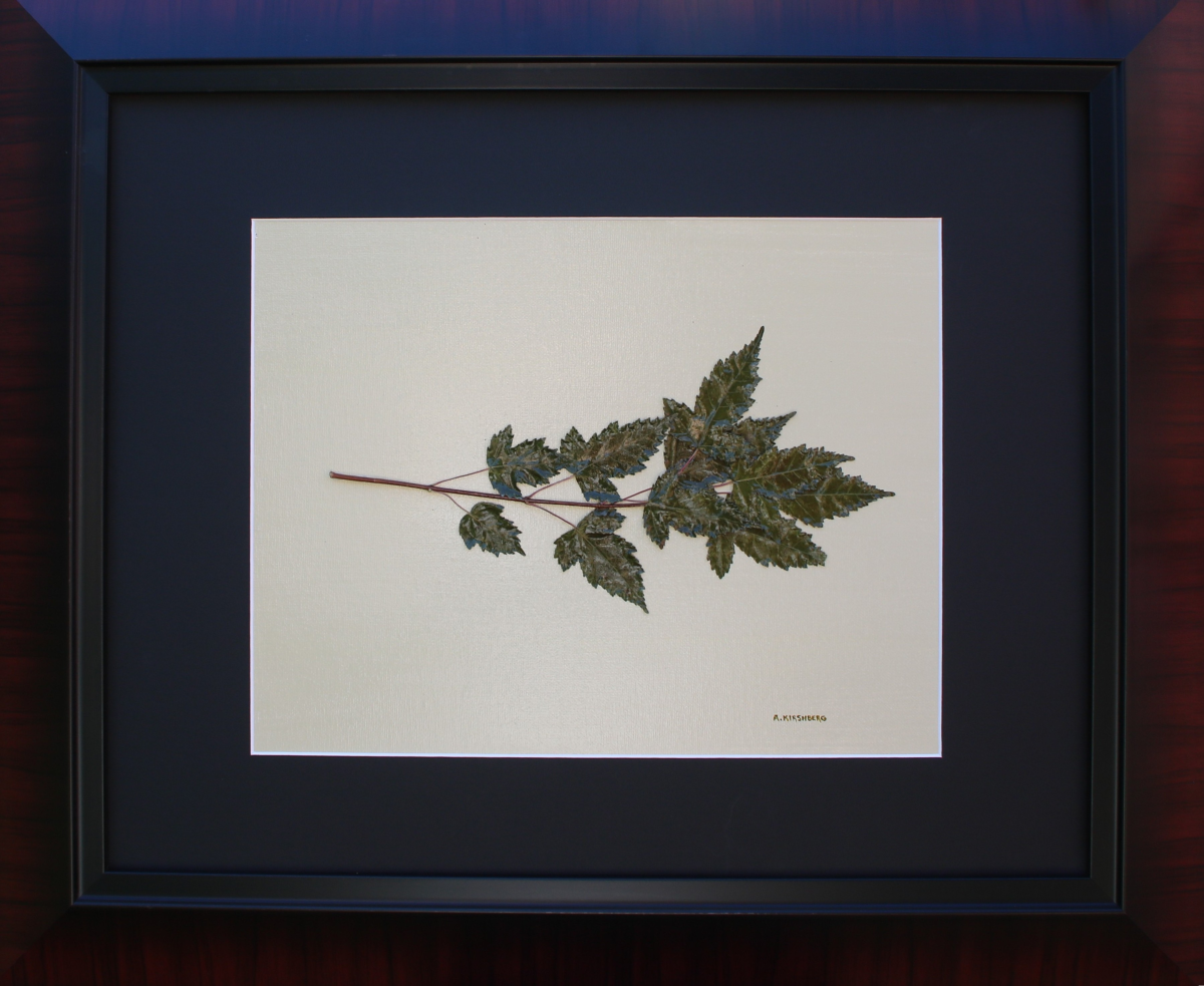 "Leaves from Andrea & Bob"