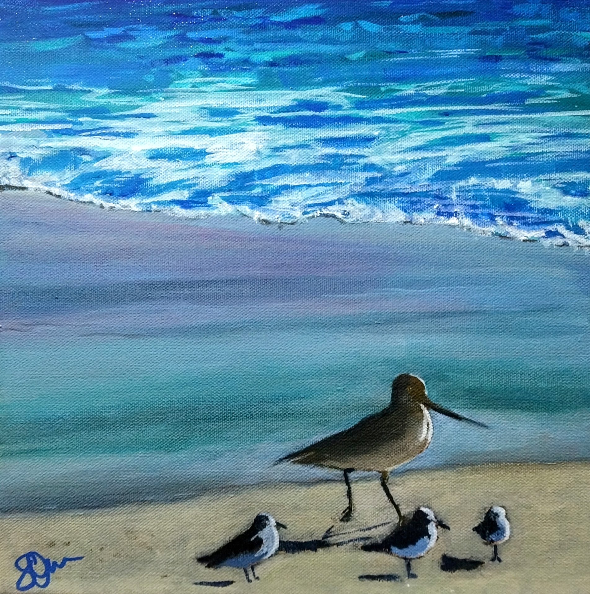 Beach Birdies