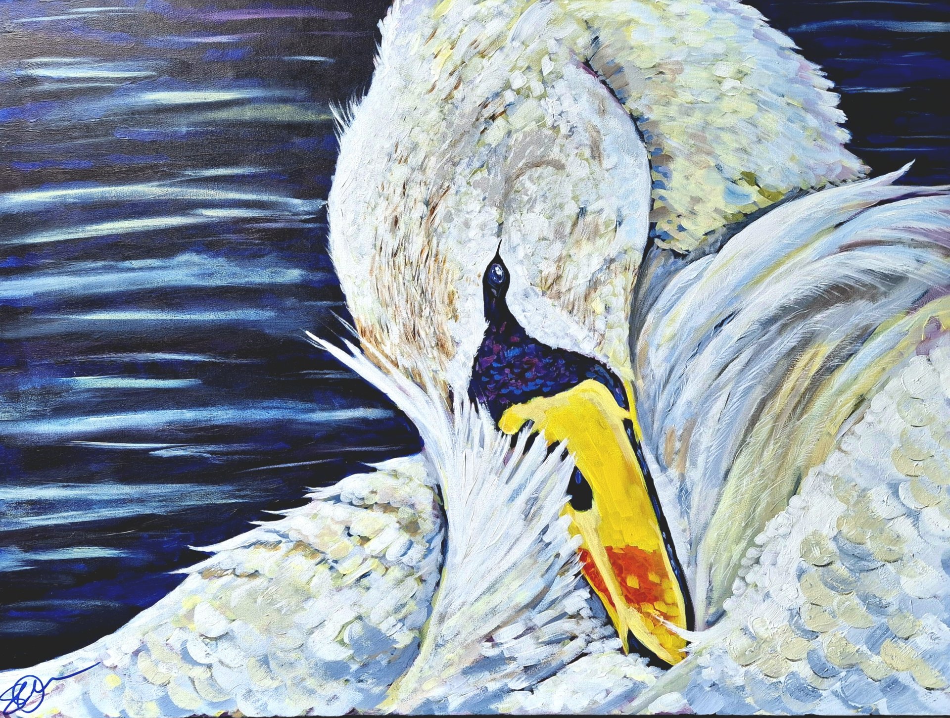 Swan’s Embrace