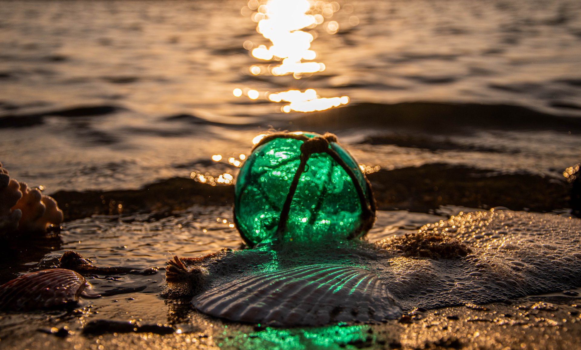 Green Glass fishing float and shells