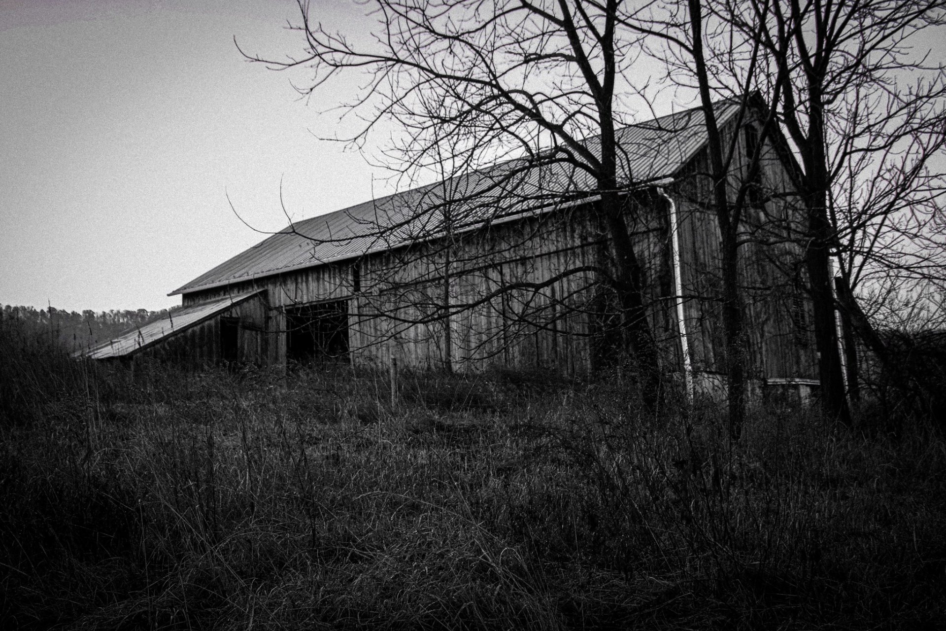 Weathered Watcher