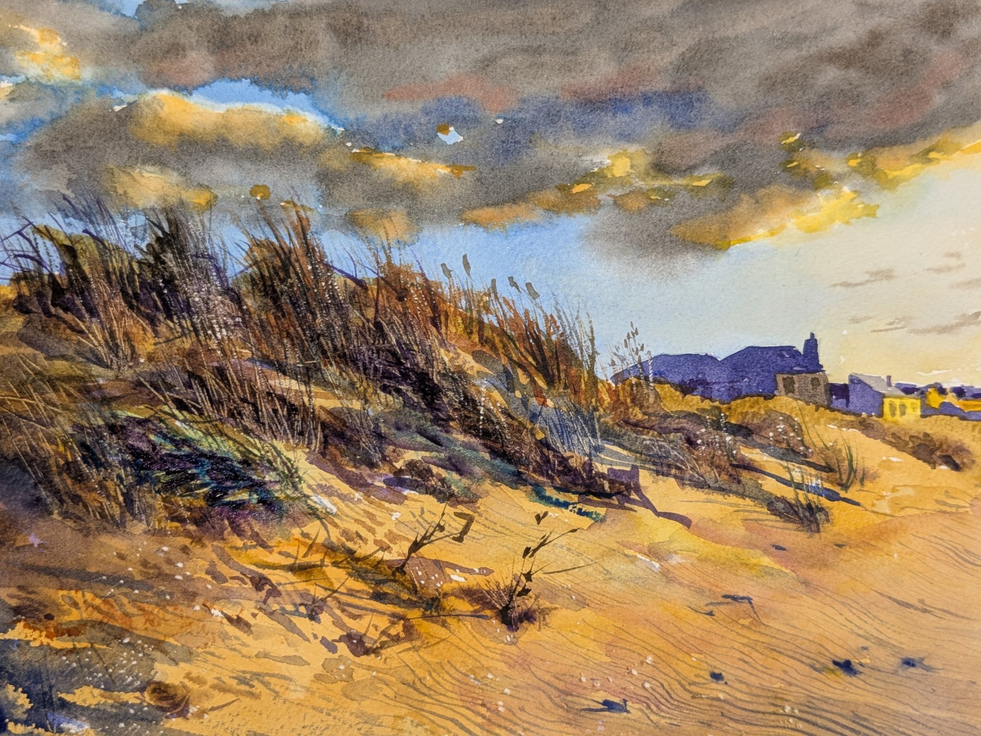 Sunset Dune Grass