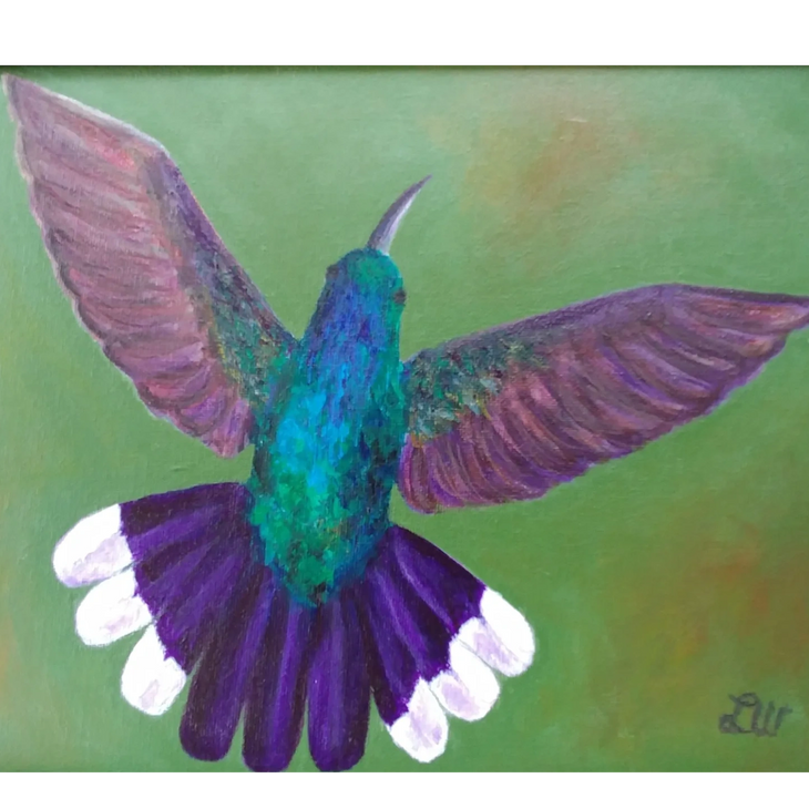 Hummingbird #1