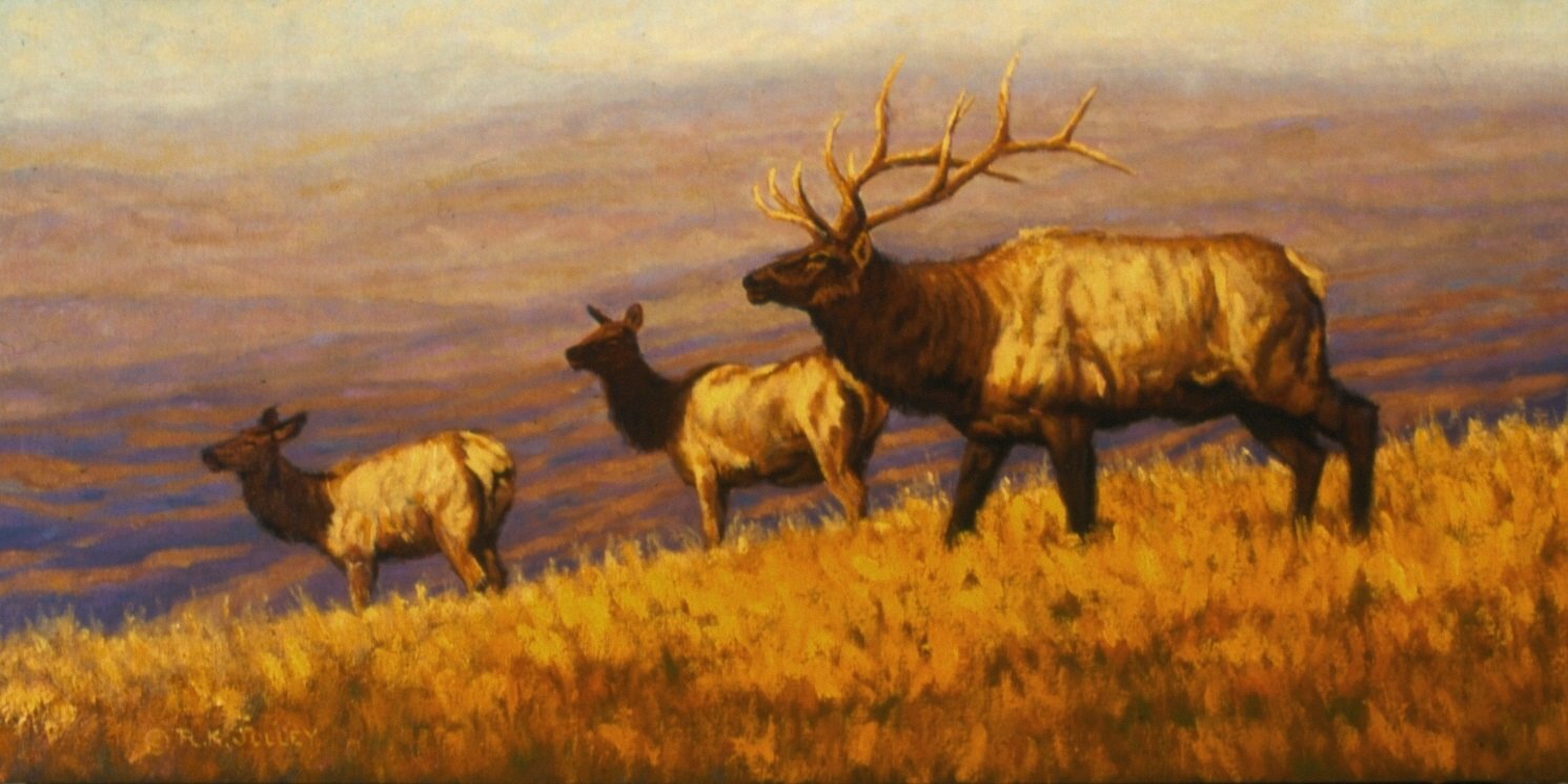 Elk Ridge