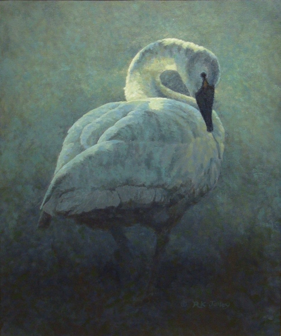 Meditation