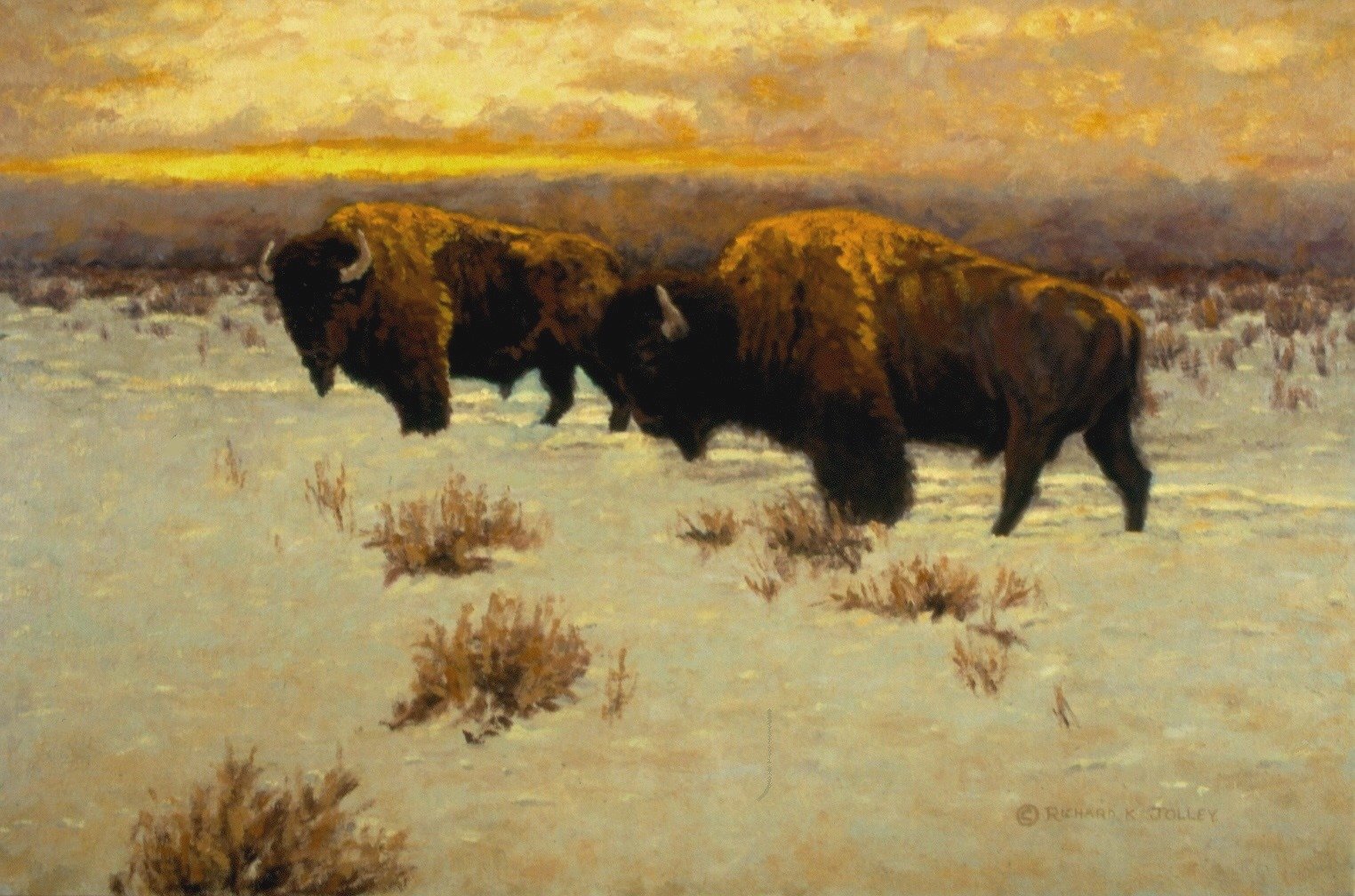 Winter Bison